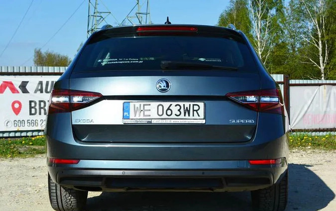 Skoda Superb cena 84900 przebieg: 178000, rok produkcji 2019 z Kutno małe 781
